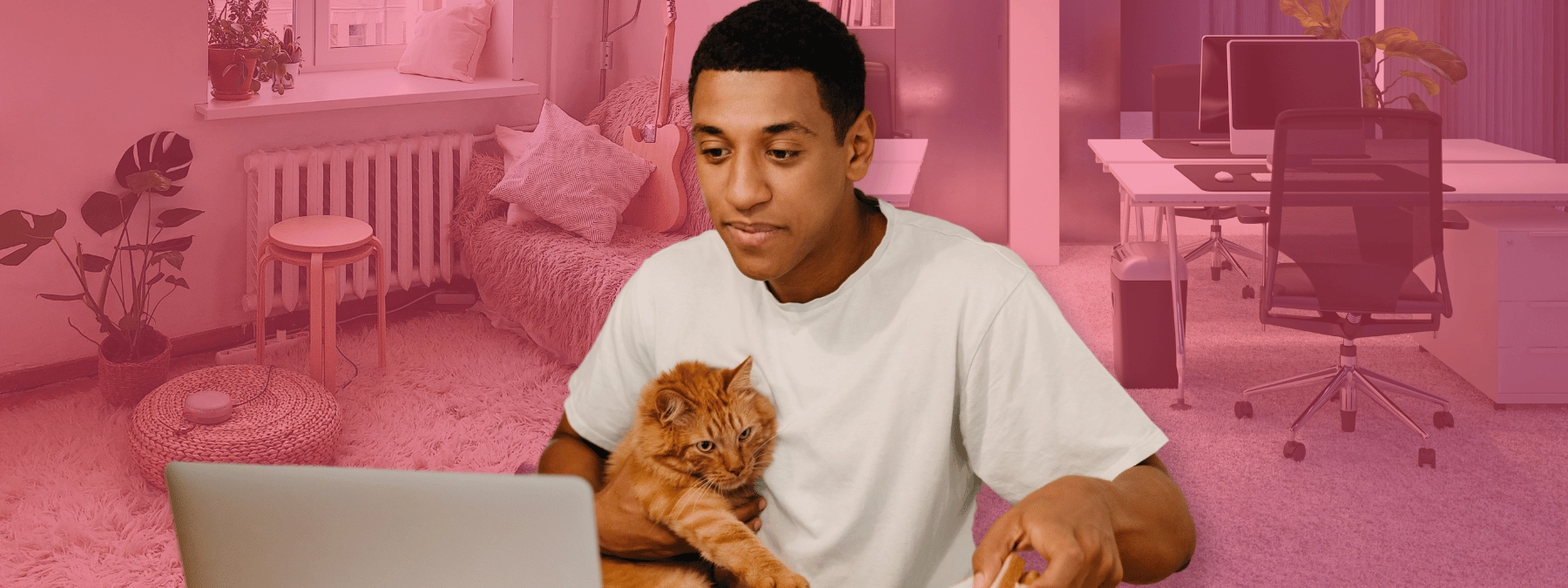 Man with cat with home and office backgrounds